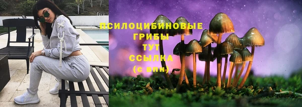 синтетический гашиш Алексин